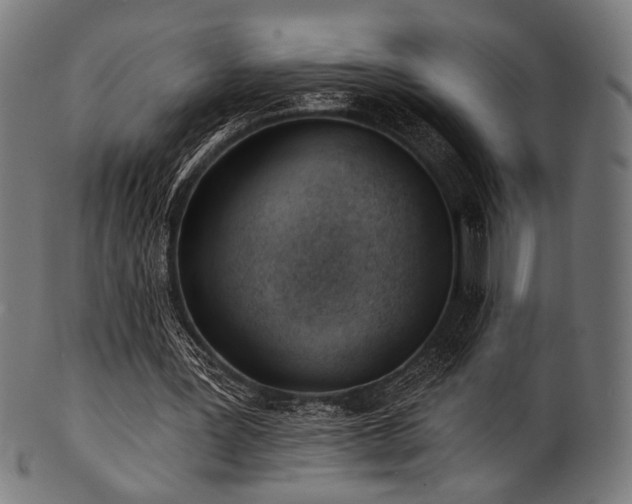 X0000100960387200806241532