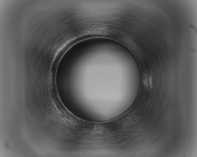 X0000100960388200806241532