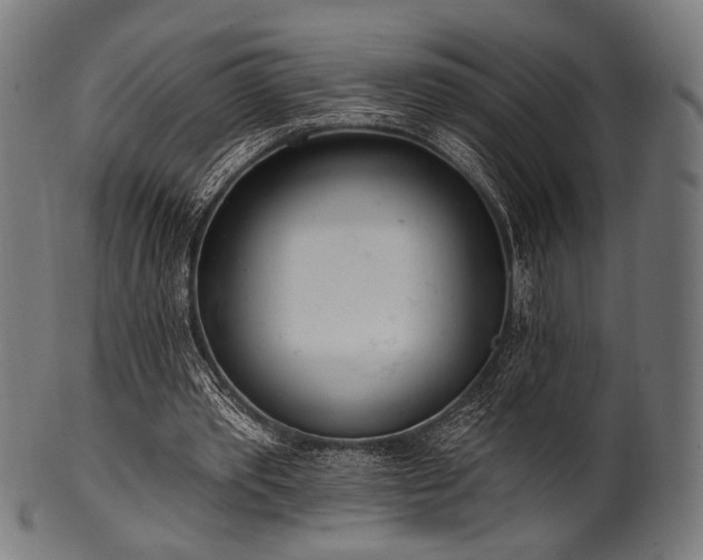 X0000100960389200806241532