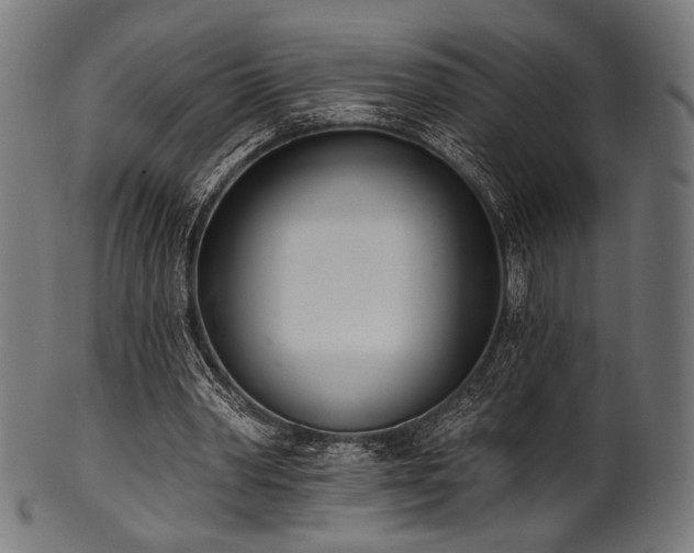 X0000100960390200806241532