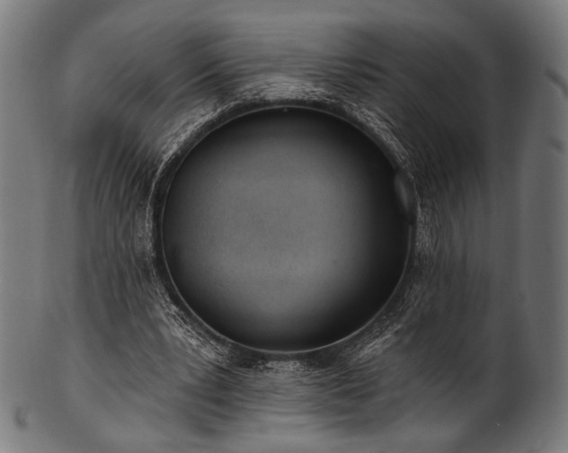 X0000100960391200806241532