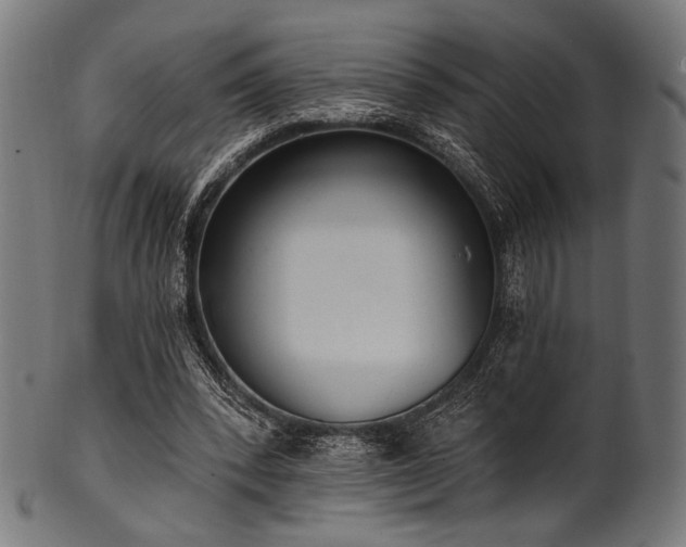 X0000100960392200806241532