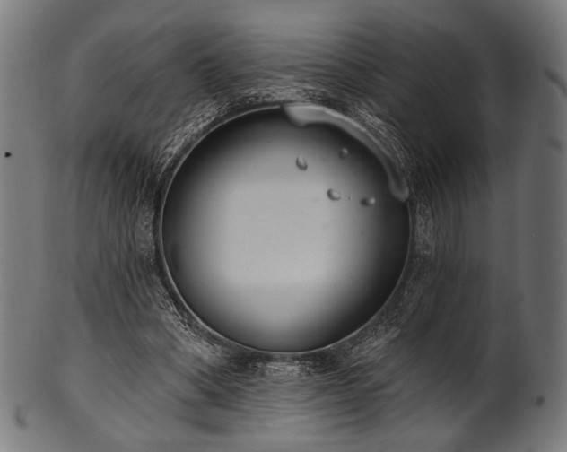 X0000100960394200806241532