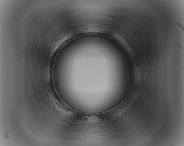 X0000100960395200806241532