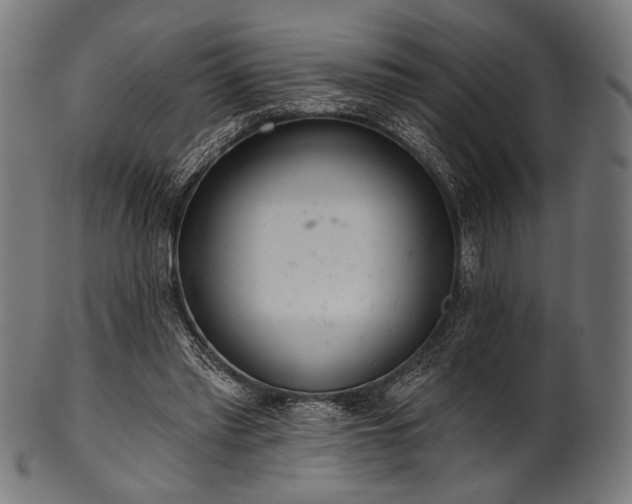 X0000100960397200806241532
