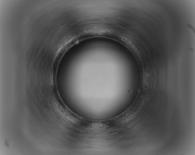 X0000100960399200806241532