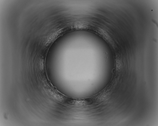 X0000100960401200806241532