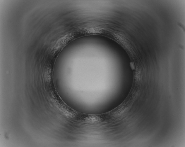 X0000100960402200806241532