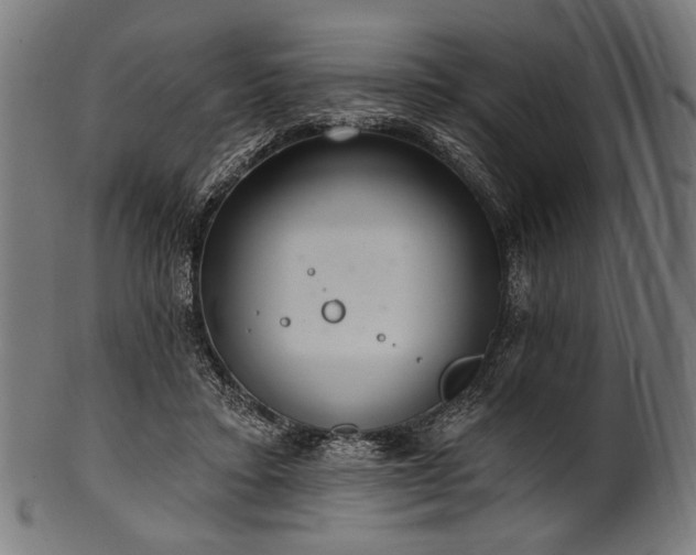 X0000100960403200806241532