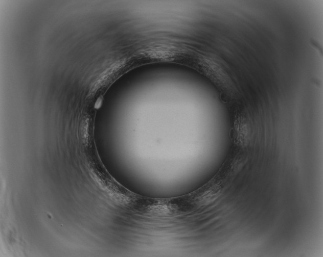X0000100960404200806241532