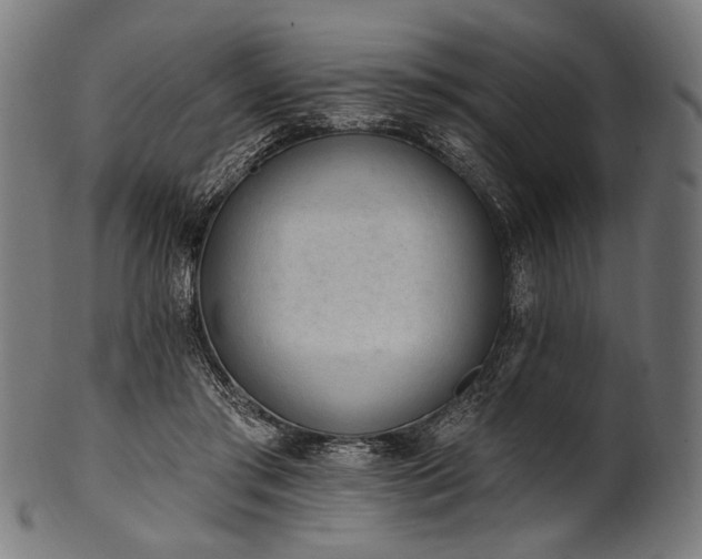 X0000100960405200806241532