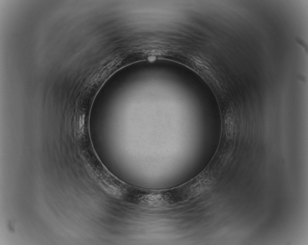 X0000100960406200806241532