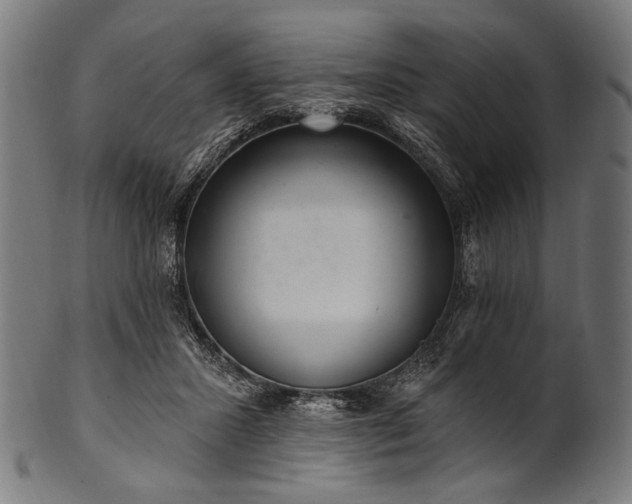 X0000100960407200806241532
