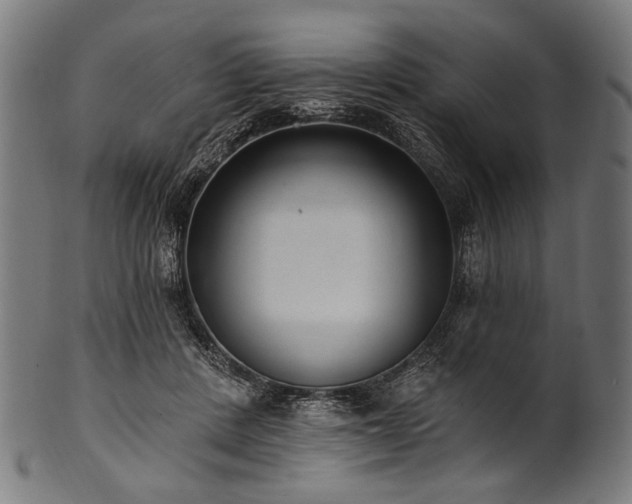 X0000100960408200806241532
