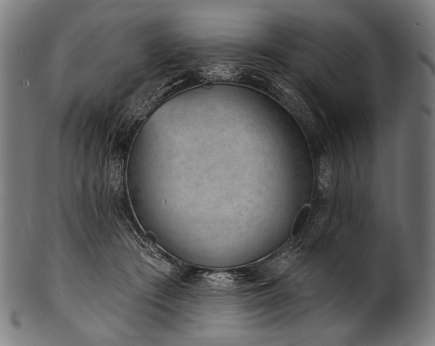 X0000100960409200806241532