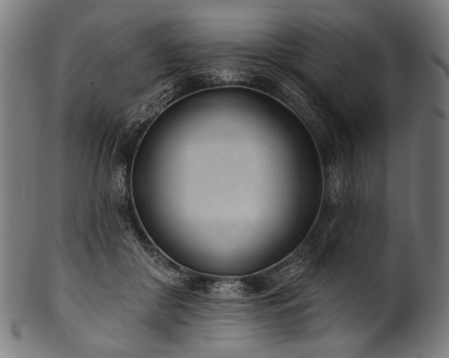 X0000100960410200806241532