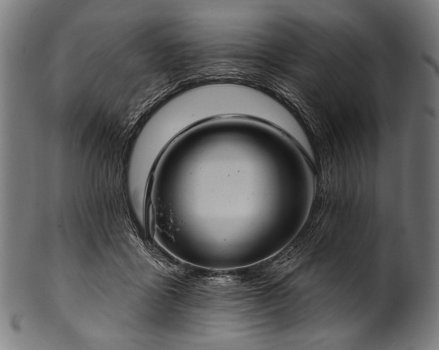 X0000100960411200806241532