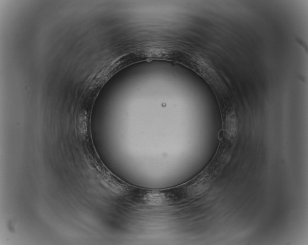 X0000100960413200806241532