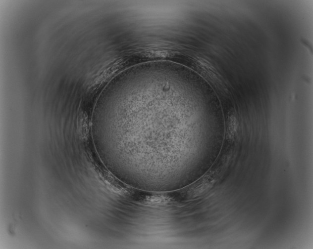 X0000100960414200806241532