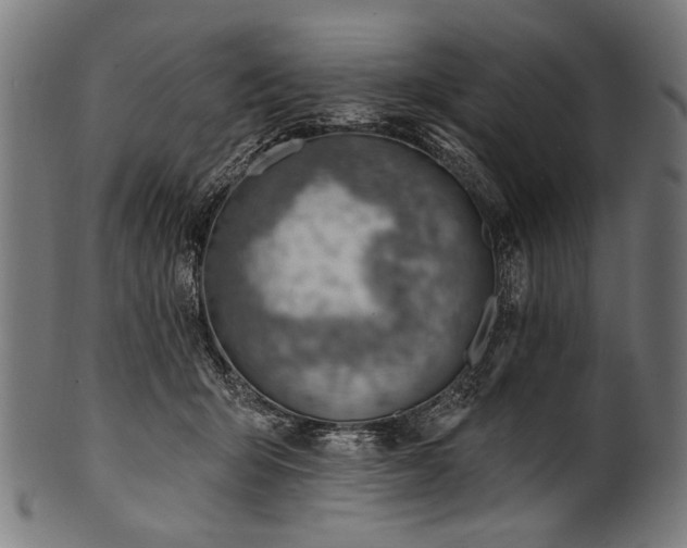 X0000100960415200806241532