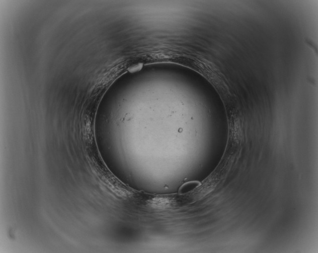X0000100960418200806241532