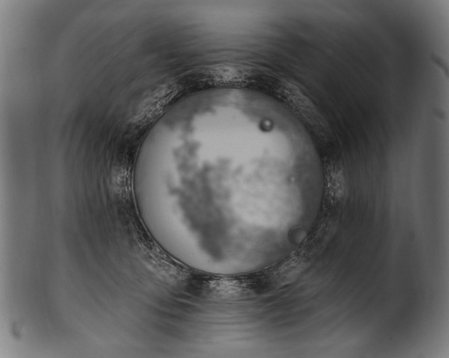 X0000100960419200806241531
