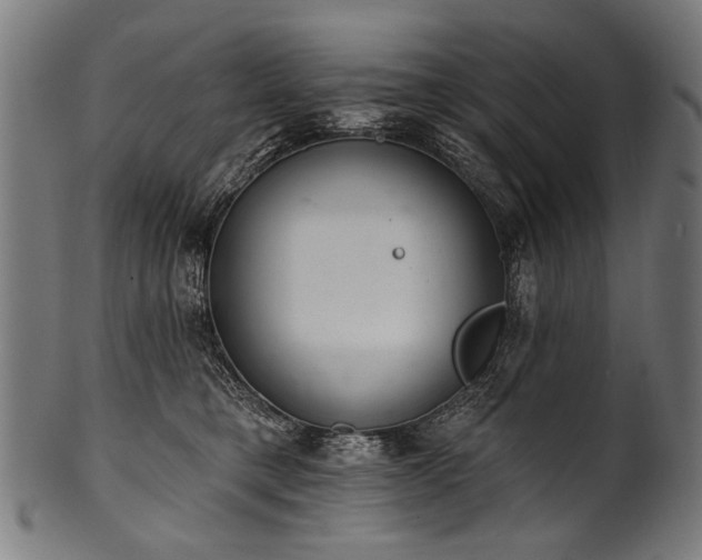 X0000100960421200806241531
