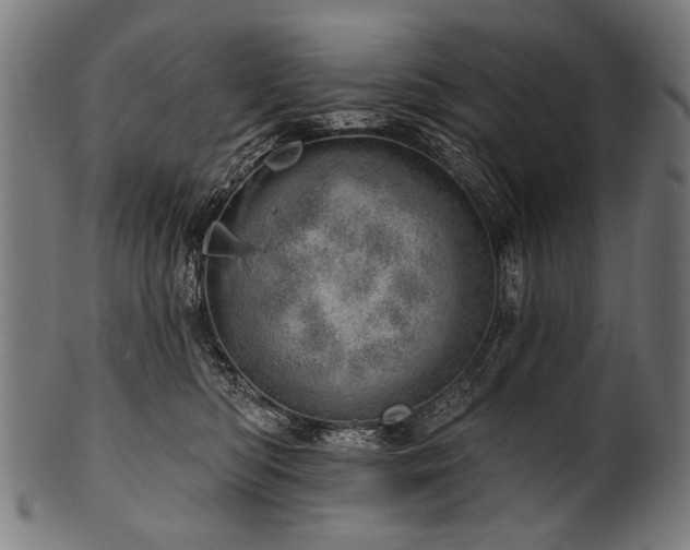 X0000100960422200806241531
