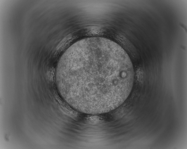X0000100960423200806241531