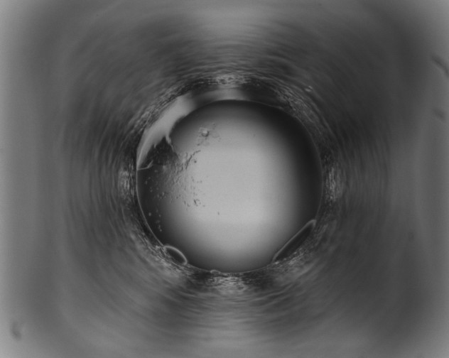 X0000100960424200806241531