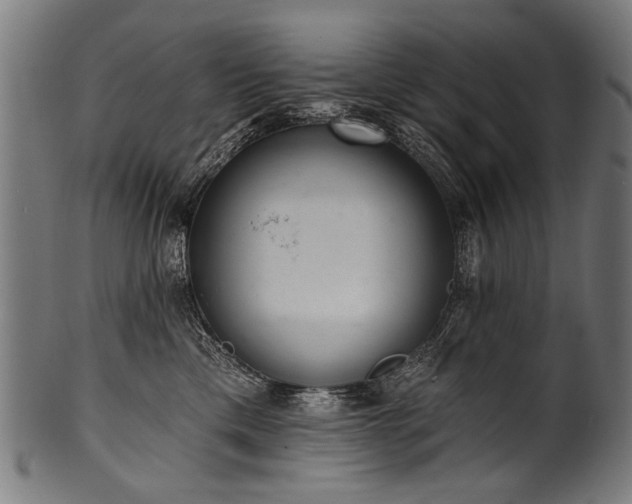 X0000100960425200806241531