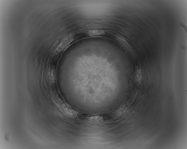 X0000100960426200806241531