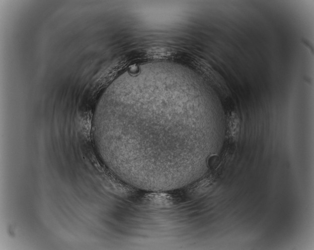 X0000100960427200806241531