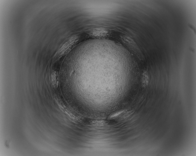 X0000100960428200806241531