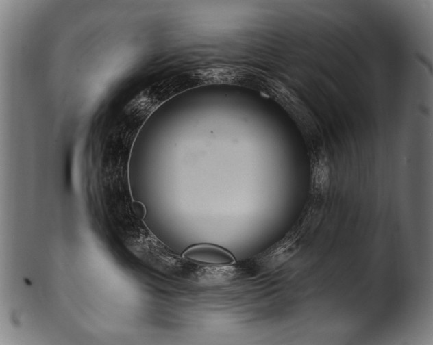 X0000100960429200806241531