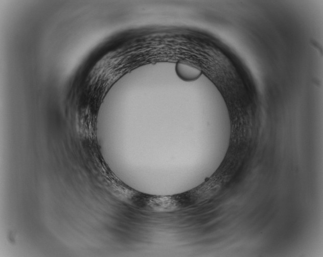 X0000100960431200806241531