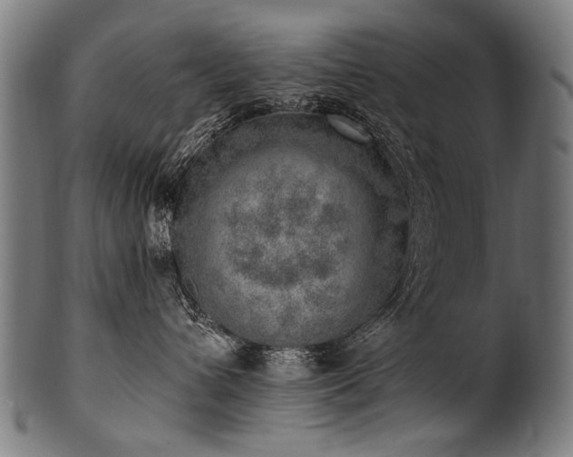 X0000100960432200806241531