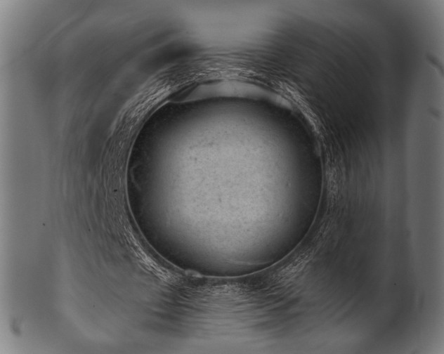 X0000100960433200806241531
