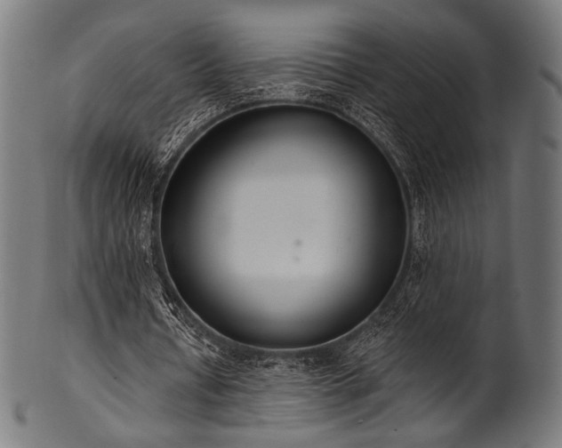 X0000100960434200806241531