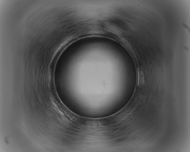 X0000100960435200806241531