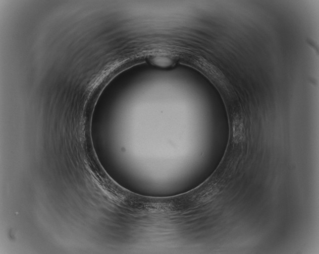 X0000100960436200806241531