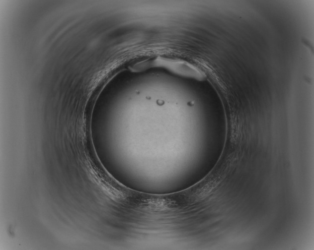 X0000100960439200806241531