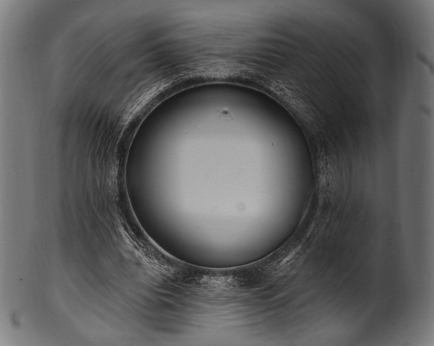 X0000100960440200806241531