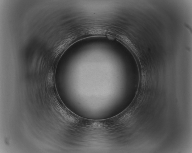 X0000100960441200806241531