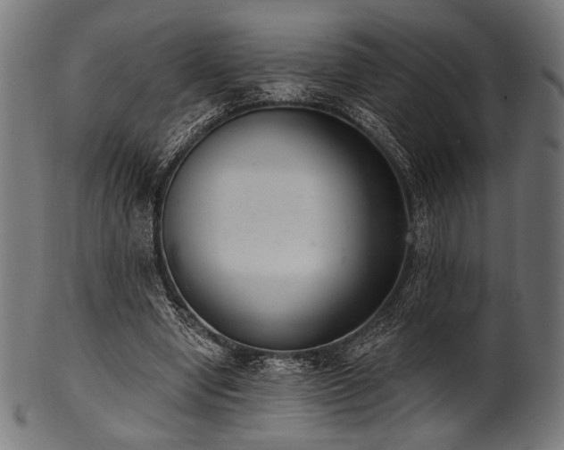 X0000100960442200806241531