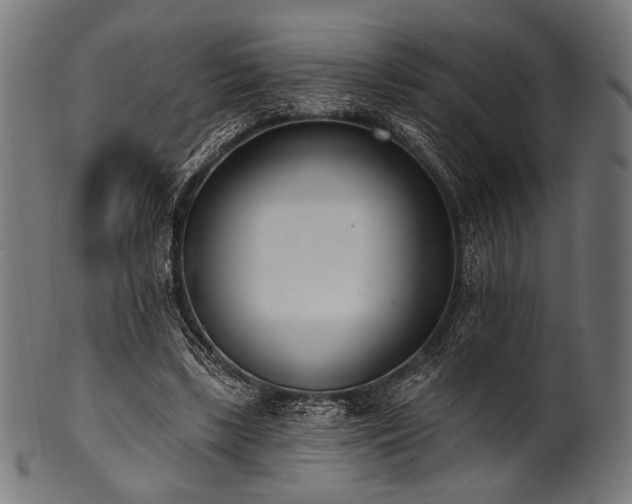 X0000100960443200806241531