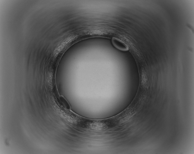 X0000100960444200806241531