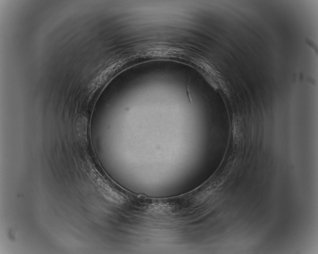 X0000100960445200806241531