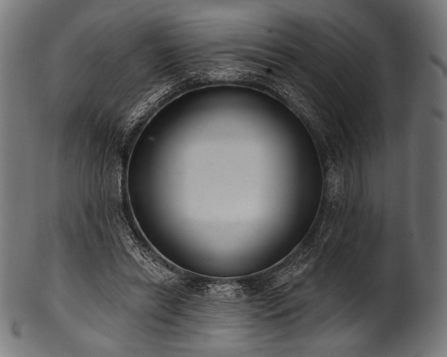 X0000100960446200806241531