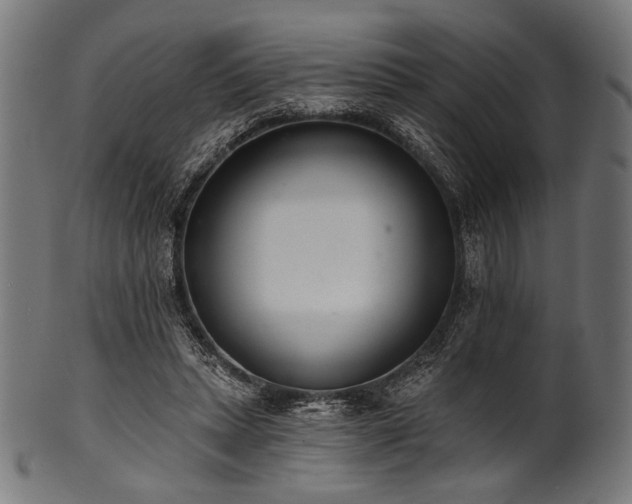 X0000100960447200806241531
